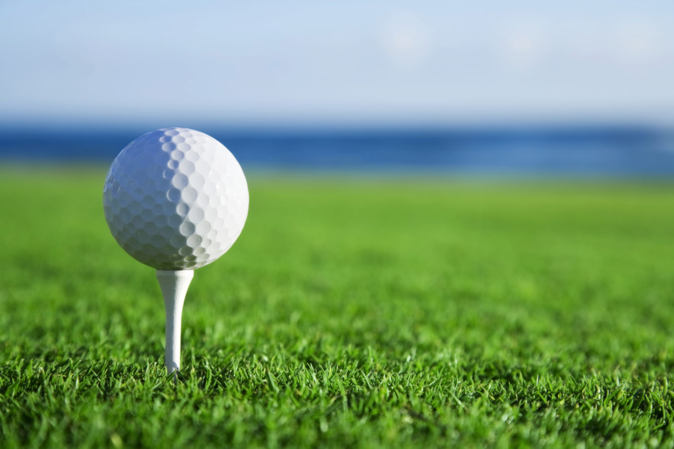 Golf Event Golf Ball on Tee Green Grass Document Xcellence, Barre, ON, Ontario, Xerox, Agent, Dealer, Reseler